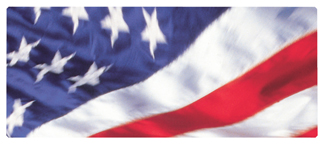 DNSEMP-L-420 American Flag